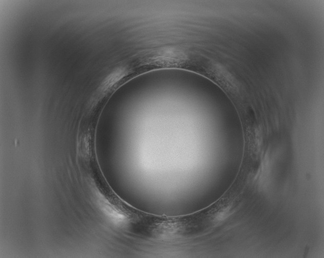 X0000052940071200507151654