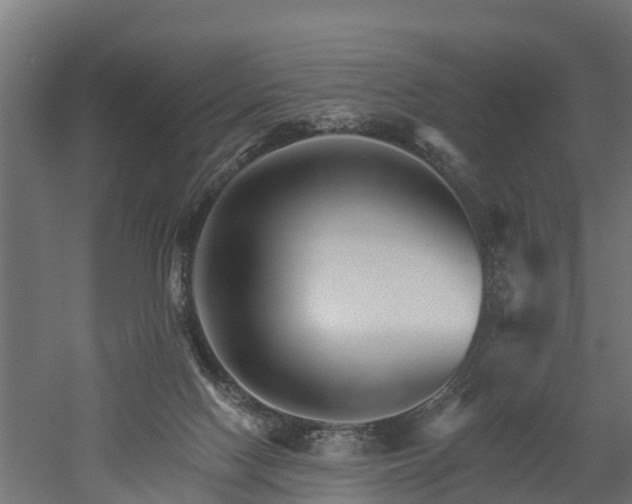 X0000052940074200507151654