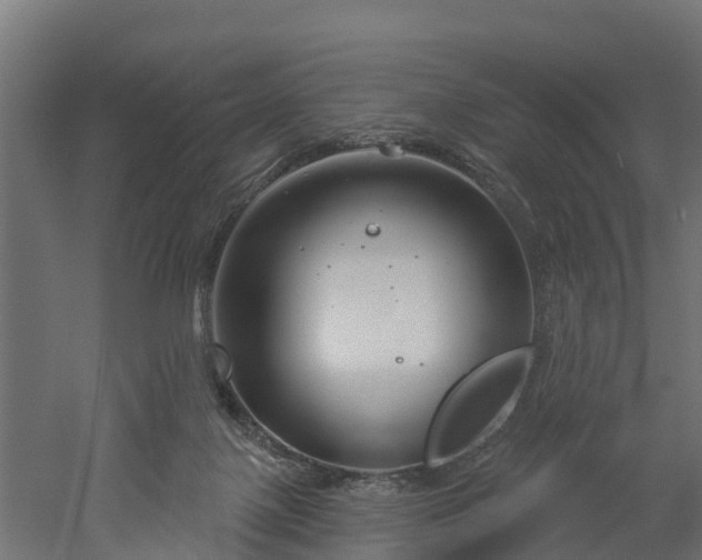 X0000052940075200507151654