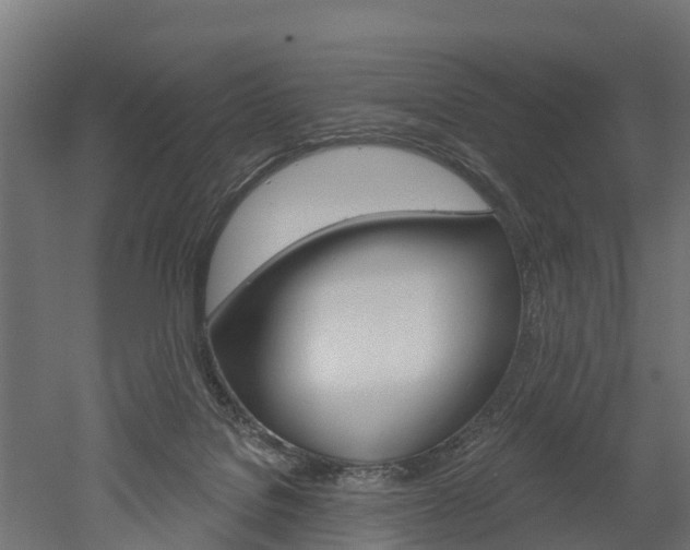 X0000052940076200507151654