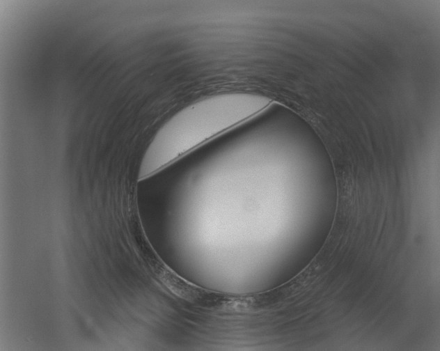 X0000052940080200507151654