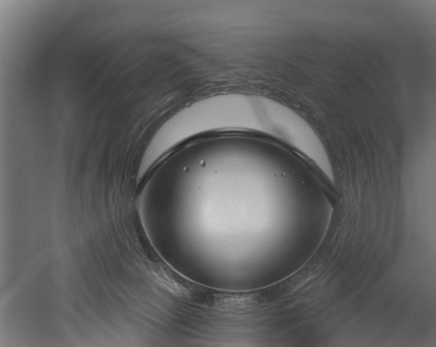 X0000052940081200507151654