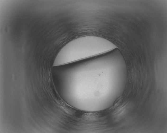 X0000052940082200507151654