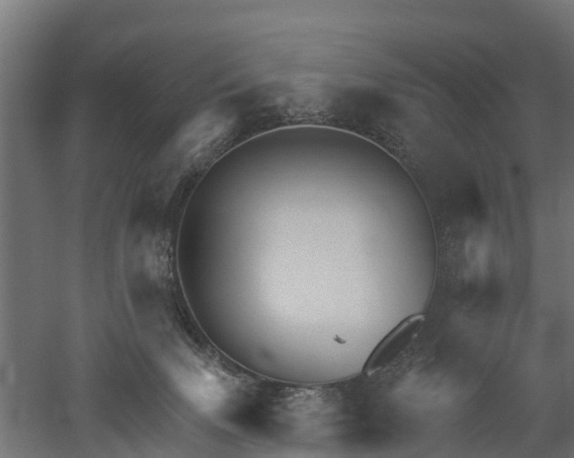 X0000052940083200507151654