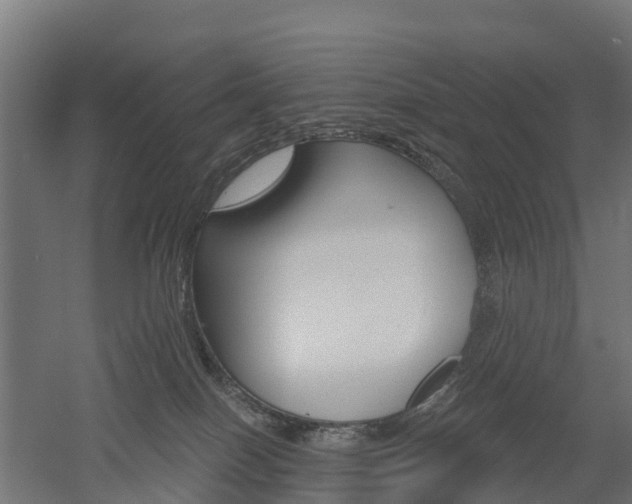 X0000052940086200507151654