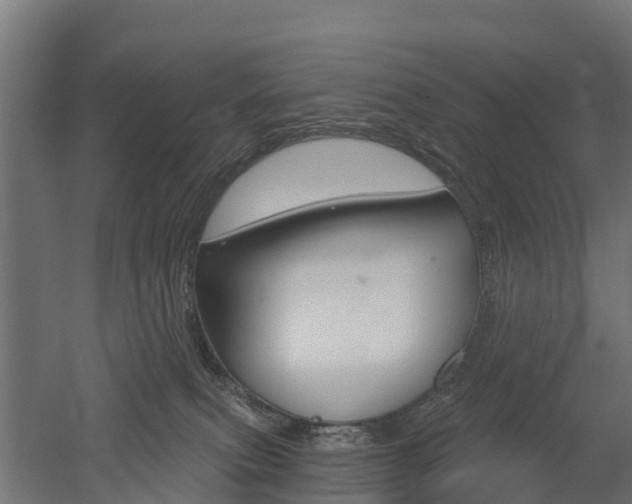 X0000052940087200507151654