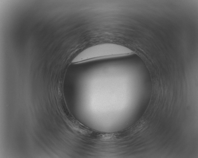 X0000052940088200507151654