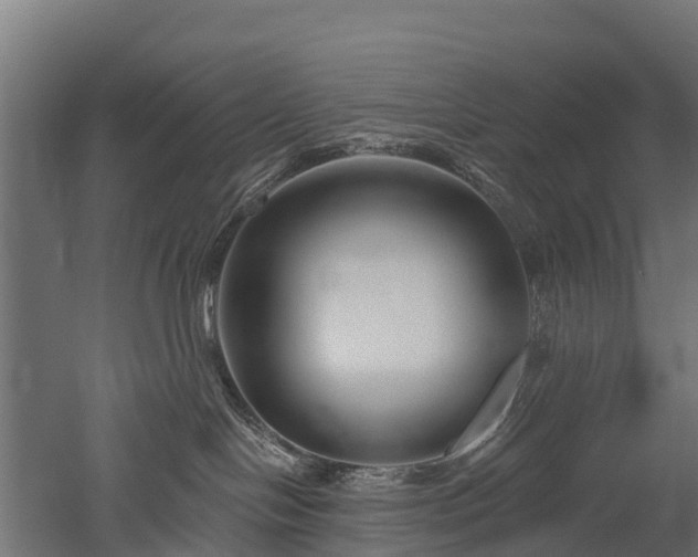 X0000052940094200507151654