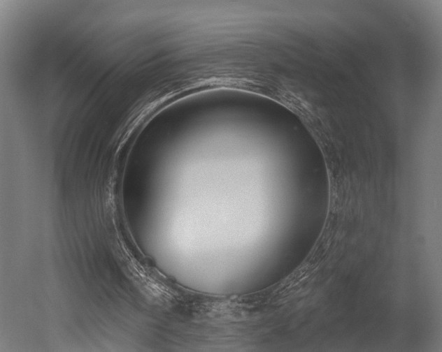 X0000052940098200507151653