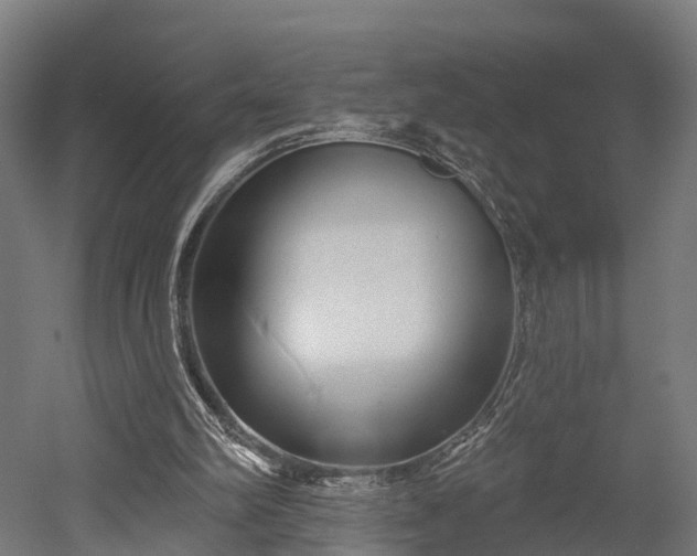 X0000052940102200507151653