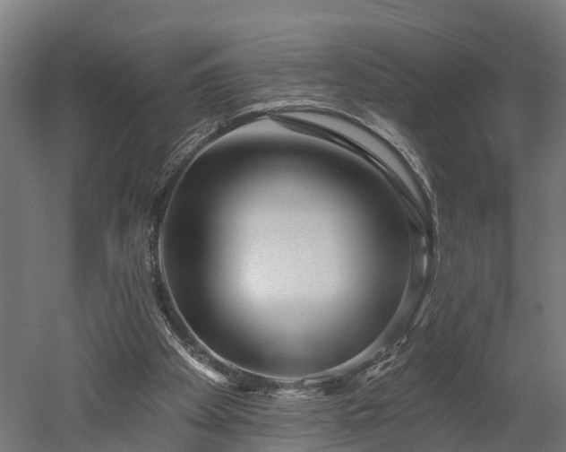 X0000052940105200507151653