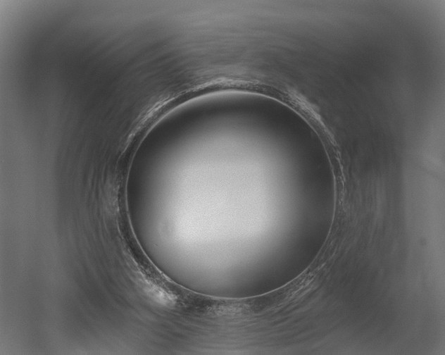 X0000052940106200507151653