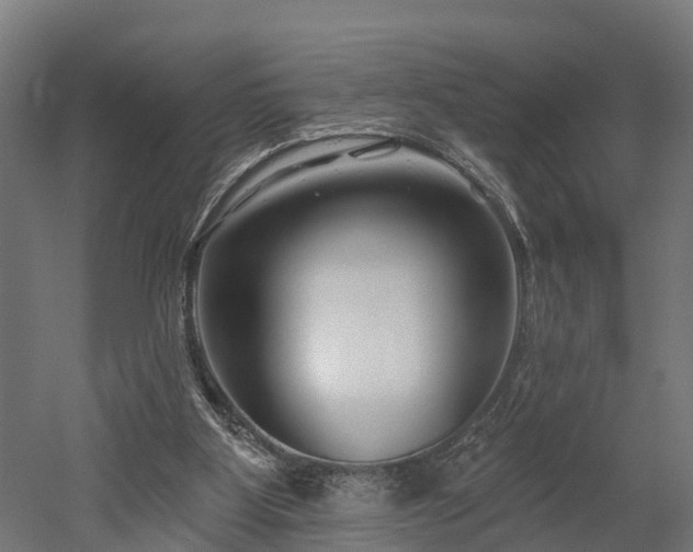 X0000052940107200507151653