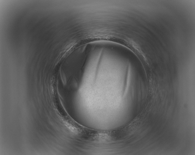 X0000052940114200507151653