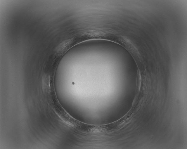 X0000052940115200507151653