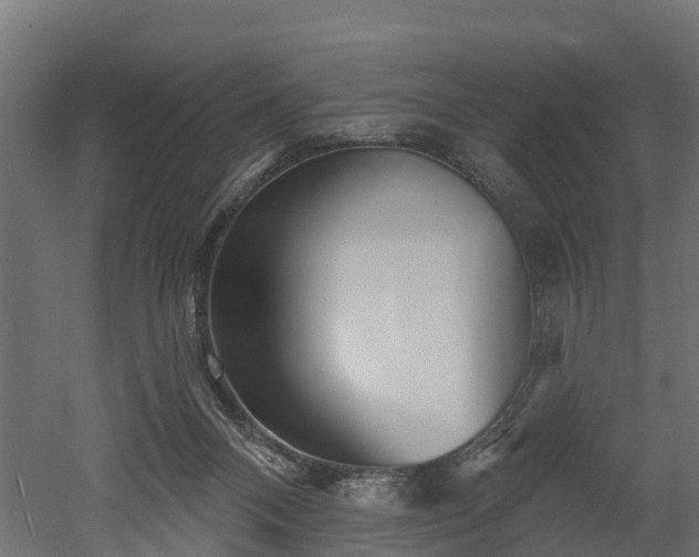 X0000052940120200507151653