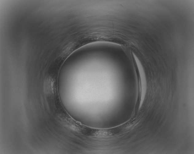 X0000052940123200507151653