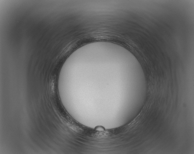 X0000052940124200507151653