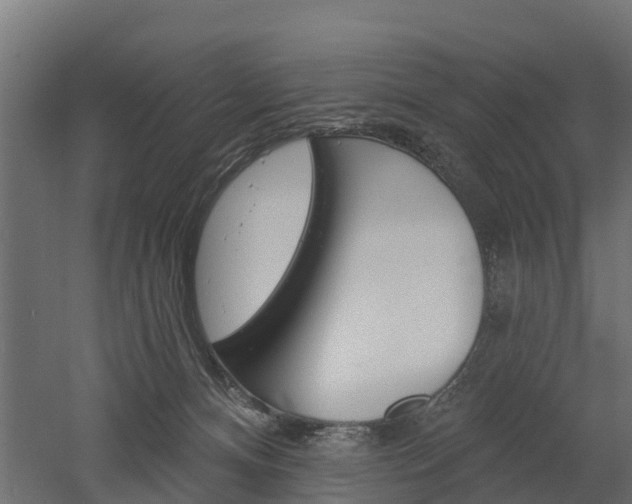 X0000052940128200507151653