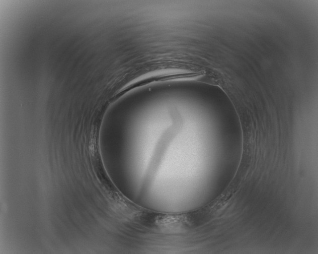 X0000052940129200507151653