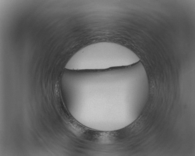 X0000052940130200507151653