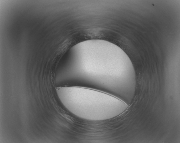 X0000052940132200507151653