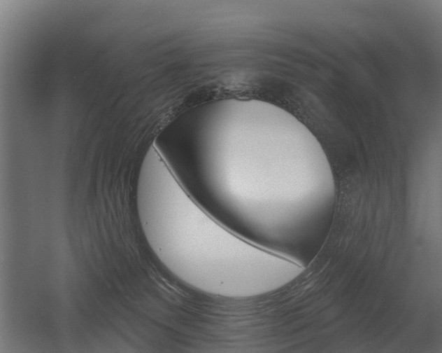 X0000052940135200507151653