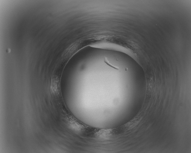 X0000052940138200507151653