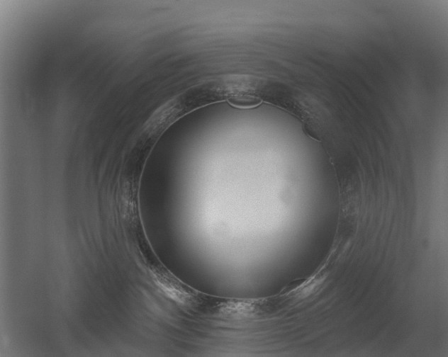 X0000052940140200507151653