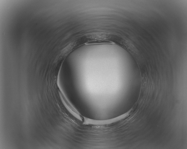 X0000052940141200507151653