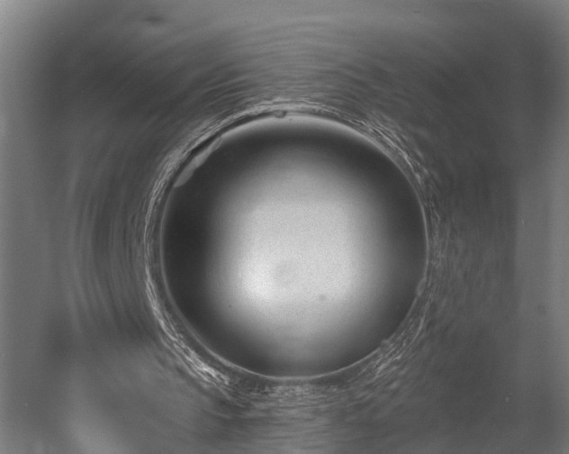 X0000052940145200507151652