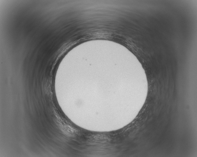 X0000052940146200507151652