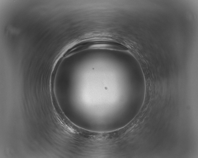 X0000052940148200507151652