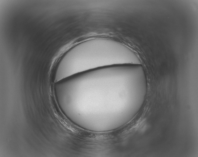 X0000052940149200507151652