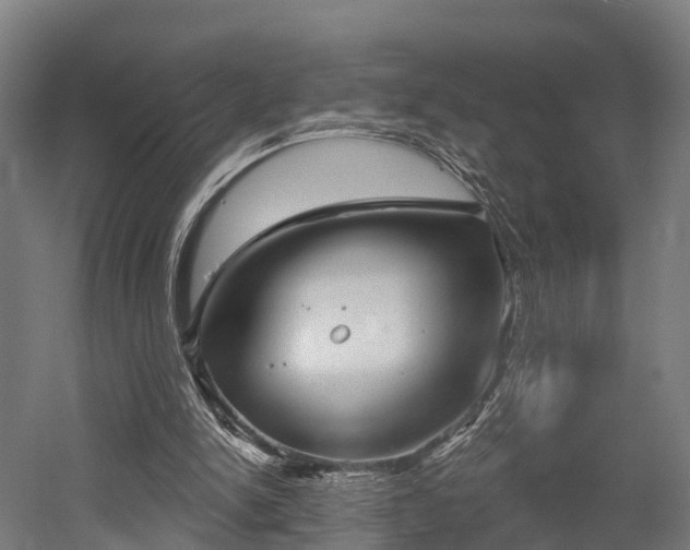 X0000052940150200507151652