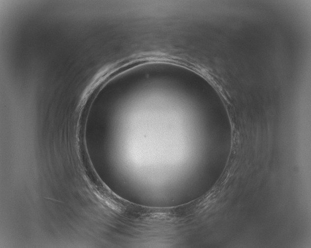 X0000052940151200507151652