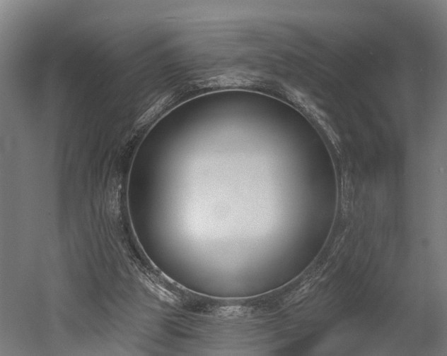 X0000052940153200507151652