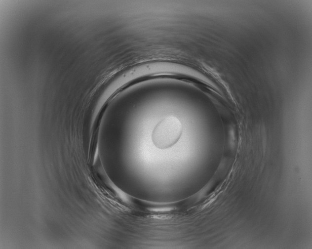 X0000052940154200507151652