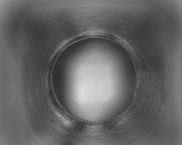 X0000052940155200507151652