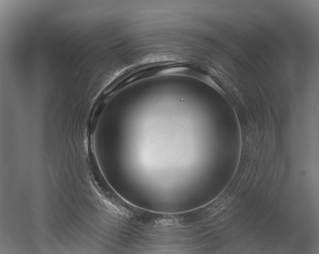 X0000052940160200507151652