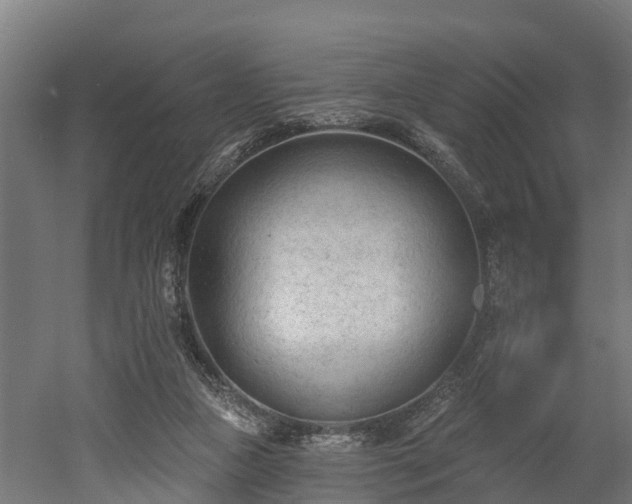 X0000052940161200507151652