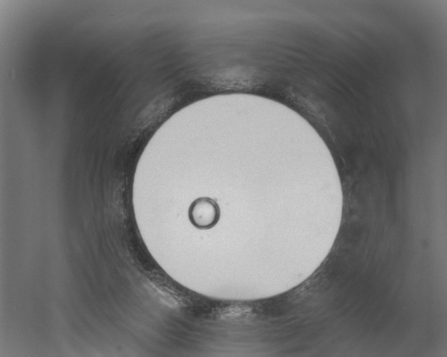 X0000052940162200507151652