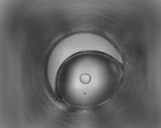 X0000052940163200507151652