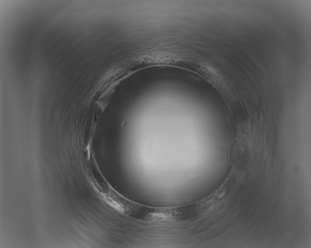 X0000052940167200507151652