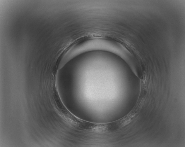 X0000052940168200507151652