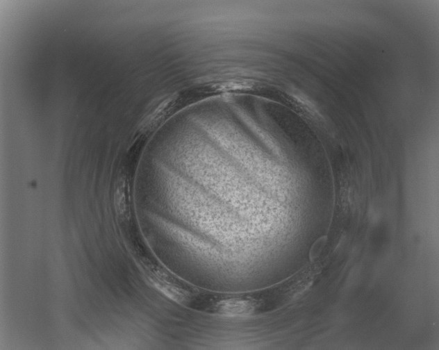 X0000052940169200507151652