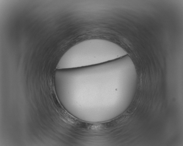 X0000052940173200507151652