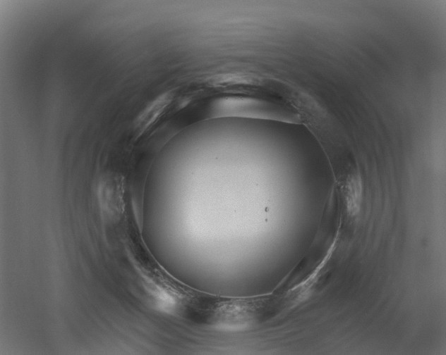 X0000052940174200507151652