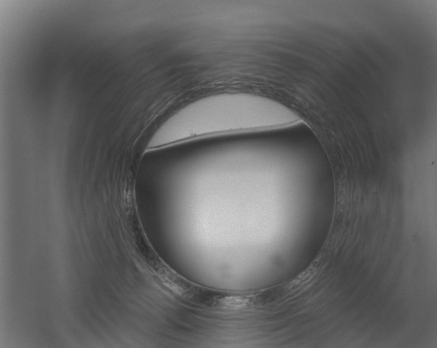 X0000052940176200507151652