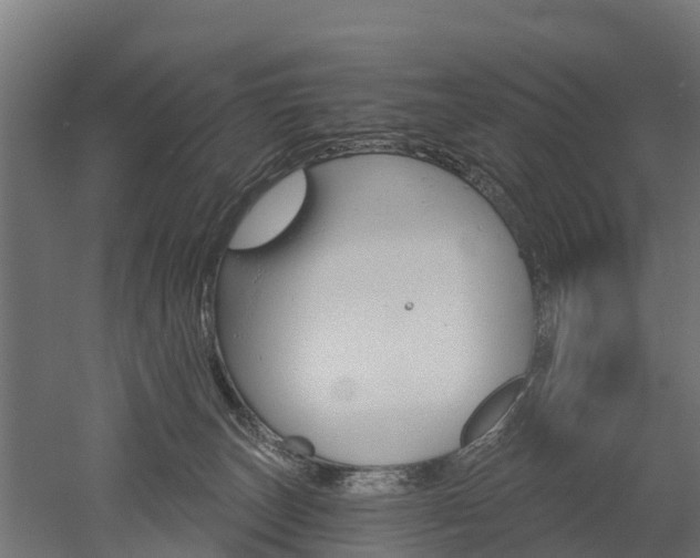 X0000052940179200507151652